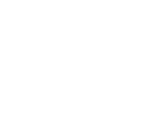 American Luxury Logo