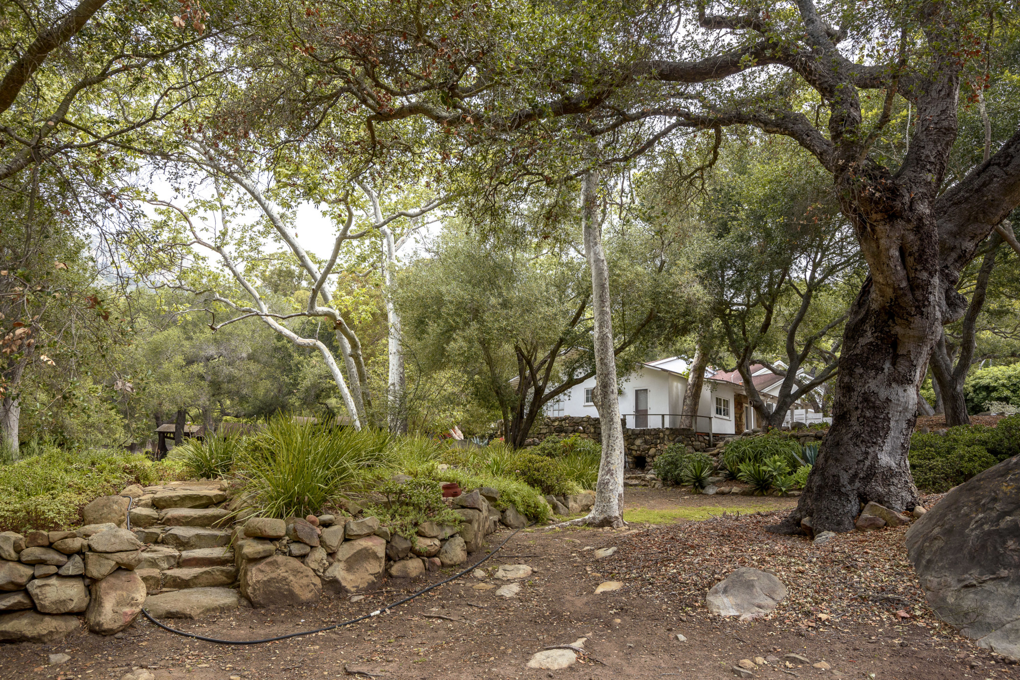 Outside the setting cultivates an idyllic wonderland with meandering walking trails, gardens, an aviary, a riding arena, and entertaining patios