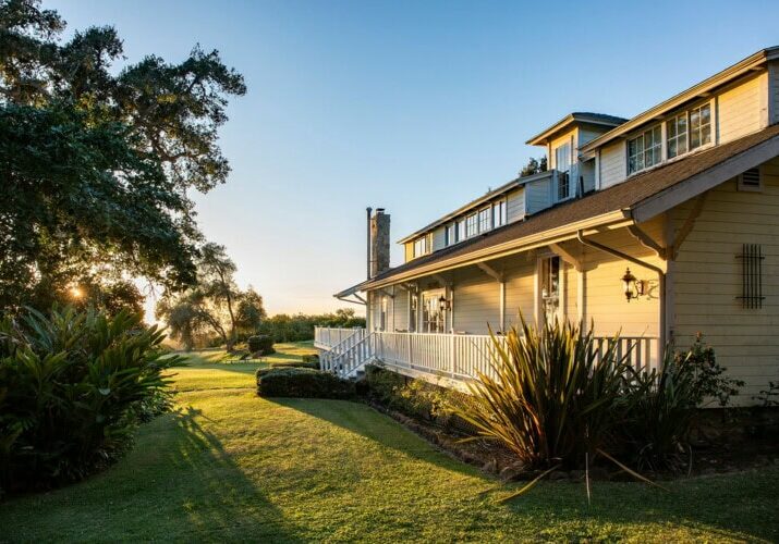 Copy of 19. Lemon House