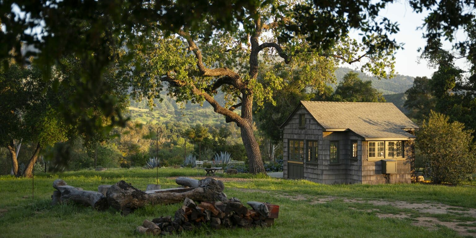 GAV09219